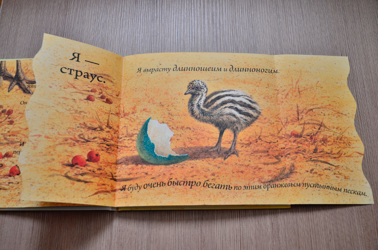 Кто вылупляется из яйца?