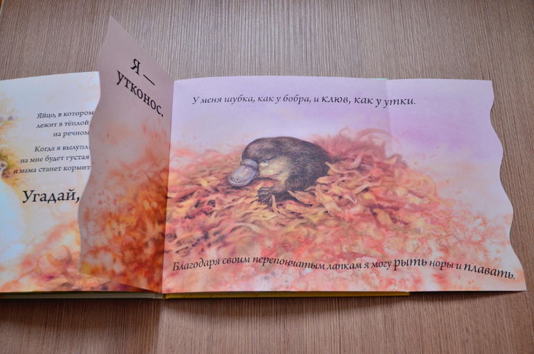 Кто вылупляется из яйца?