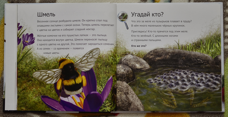 Эту книгу мы возьмем с собой на дачу!