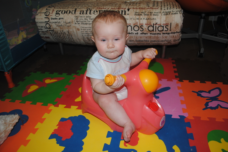 Полугодовасие