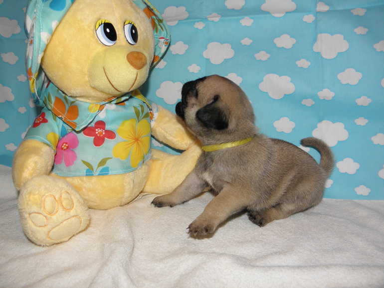 Вот нам уже и месяц)))