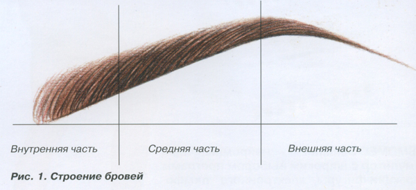 как людей меняют брови