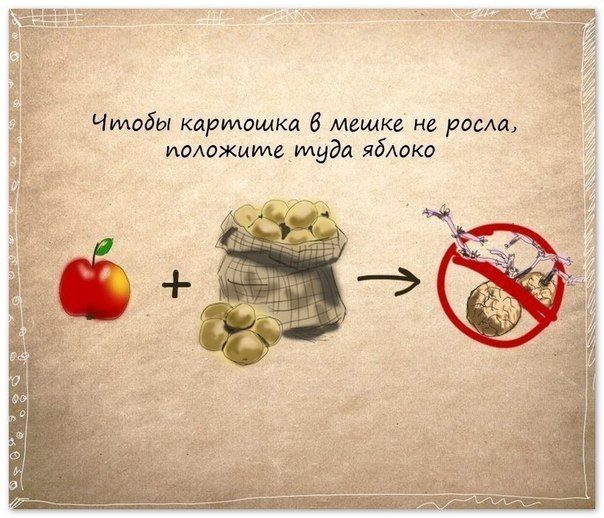 71cb61511d1d468af91e3fa5ed50a051.jpg