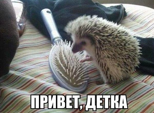 Много, много, много фото-приколов