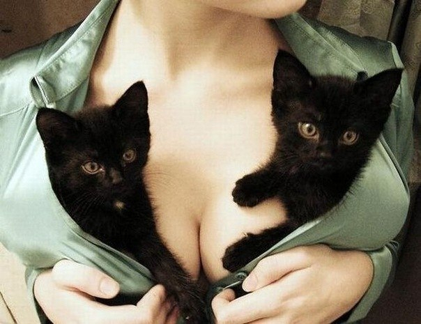 Много, много, много фото-приколов