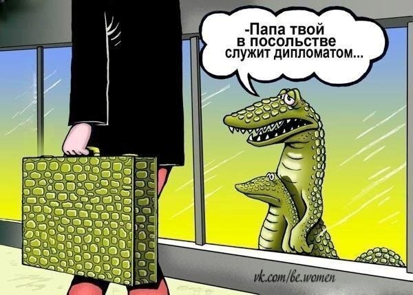 Много, много, много фото-приколов
