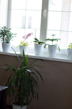 моя кухня цвета капуччино..