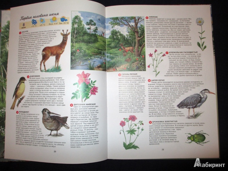 наш книжный Wish List
