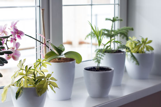 моя кухня цвета капуччино..