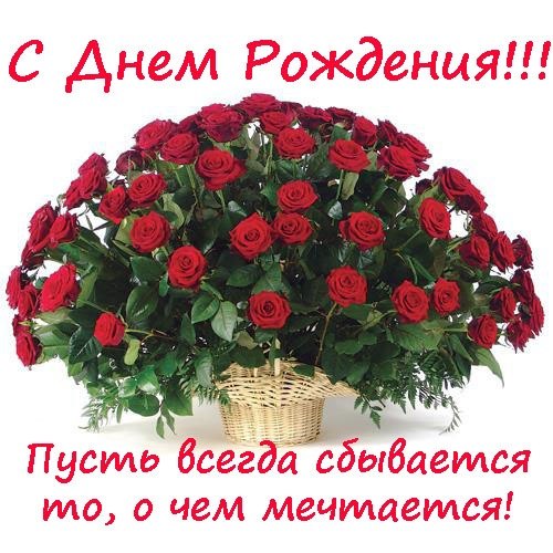 7dec424ecec09e2de2b275d54d25a566.jpg