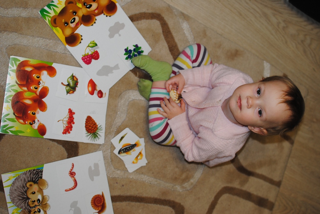 ТН Животные леса 1.9