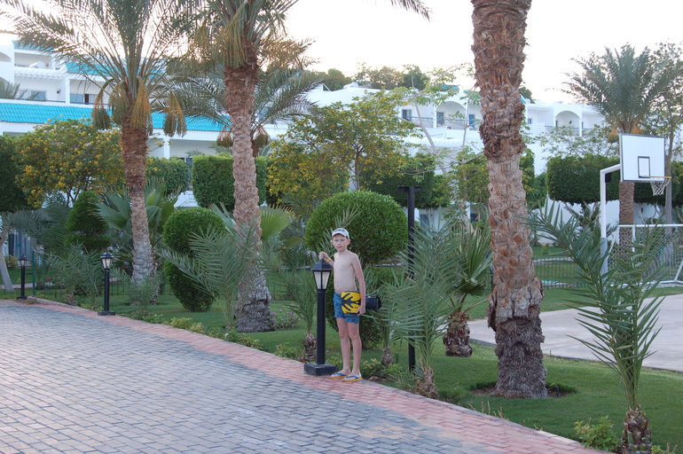 Отдых в Египте с двумя детьми (10 лет и 1,5 г.)