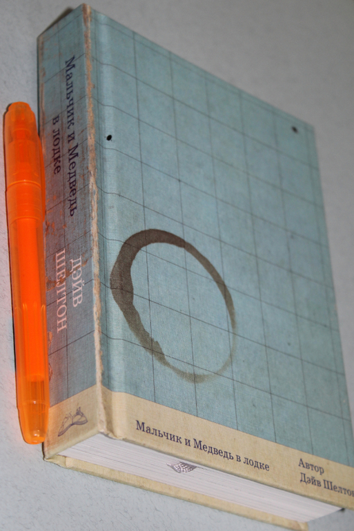  Дэйв Шелтон: Мальчик и Медведь в лодке