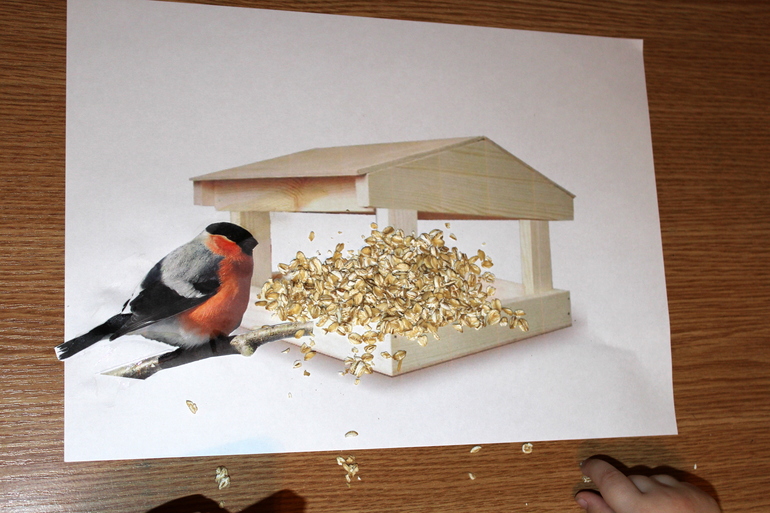 Первый день ТН