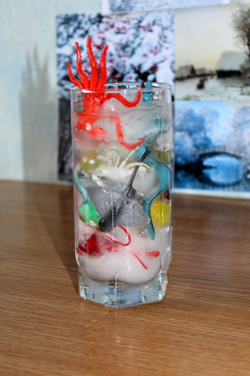 Первый день ТН