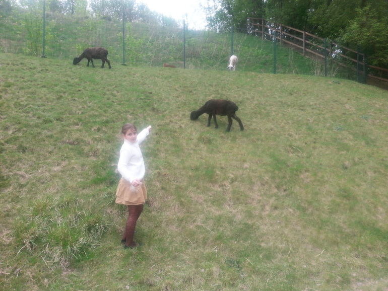 Контактный зоопарк ЖК Золотые ключи 2