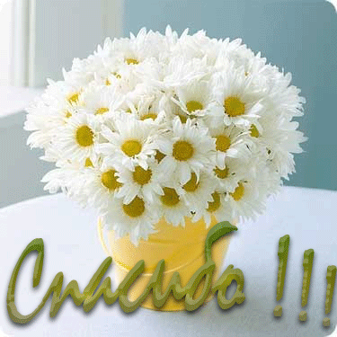 И к нам прибыл чудесный крокодильчик!