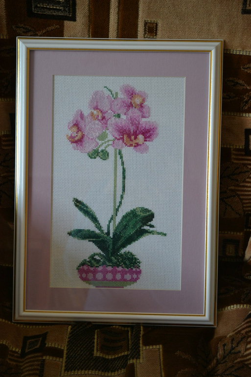 Мои работы.