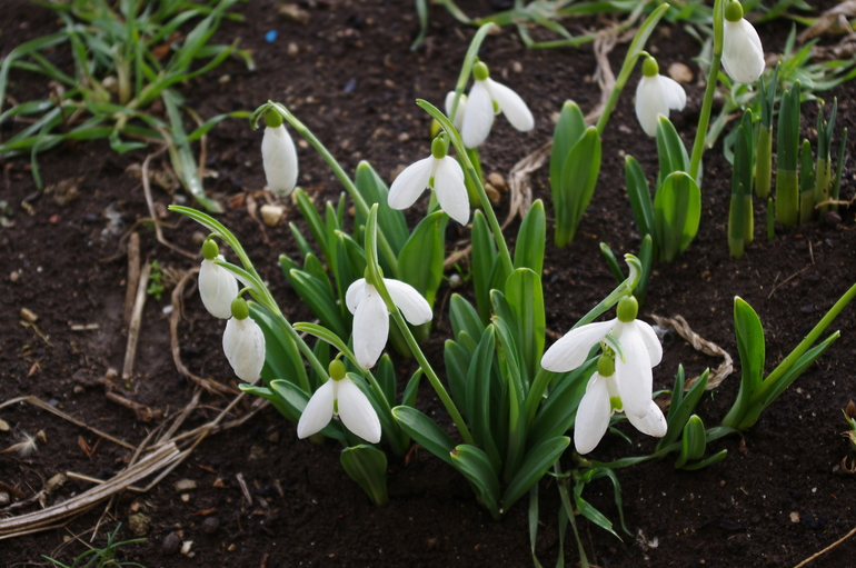 А у нас теплооо)