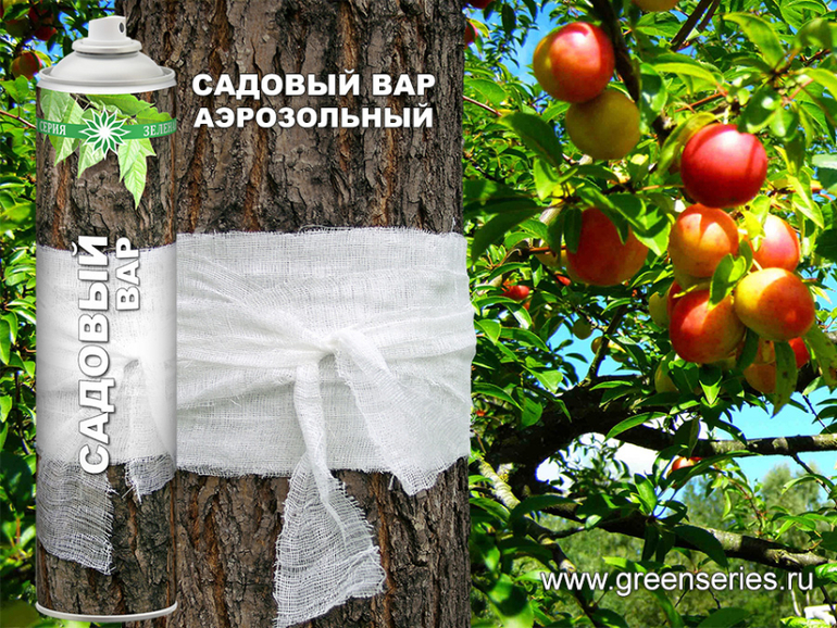 Задают вопрос: Когда сделают что-то новое и полезное для сада и огорода?