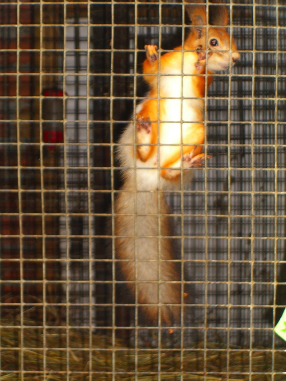 Наши выходные!!!!!!