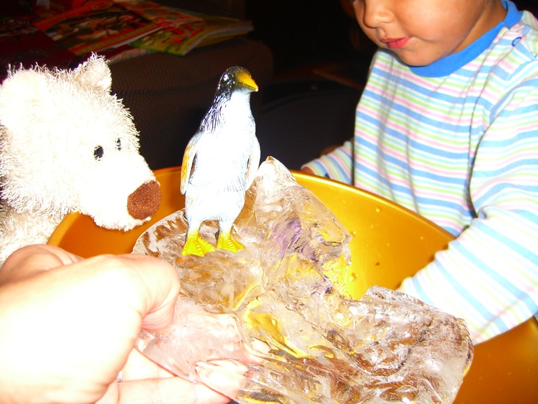 АРКТИКА И АНТАРКТИКА!! ДЕНЬ1