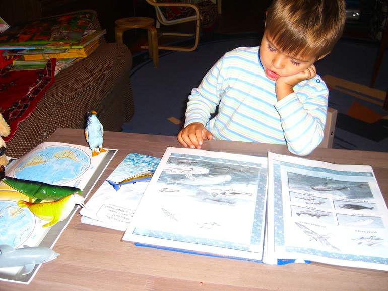 АРКТИКА И АНТАРКТИКА!! ДЕНЬ1