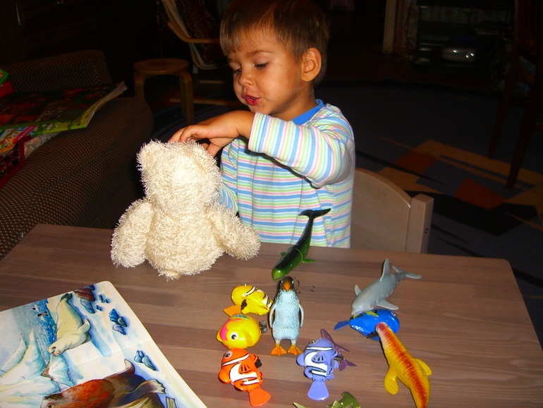 АРКТИКА И АНТАРКТИКА!! ДЕНЬ1