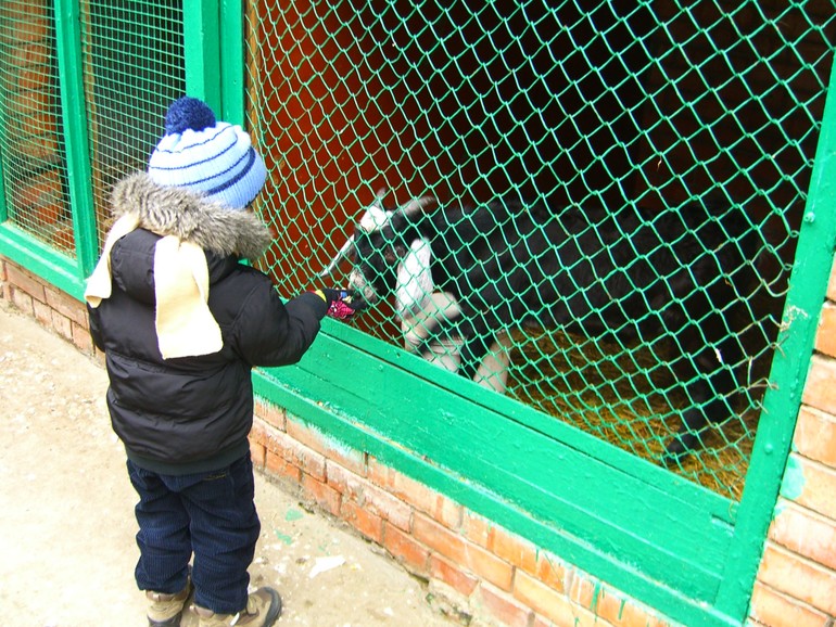 Наши выходные!!!!!!