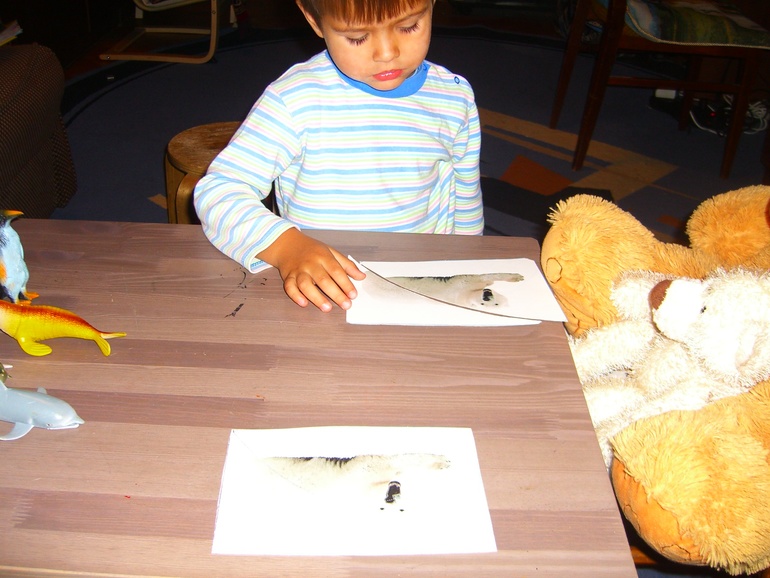 АРКТИКА И АНТАРКТИКА!! ДЕНЬ1