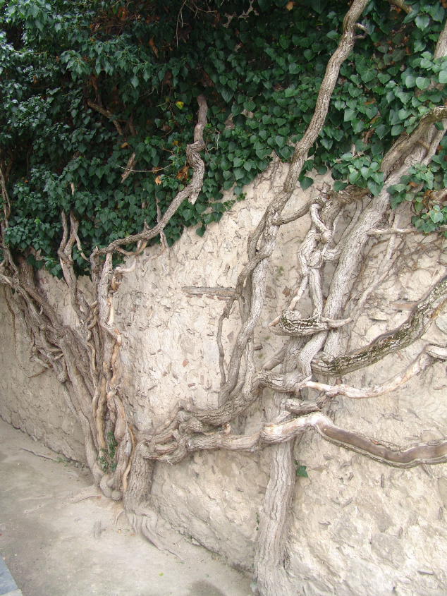 Бахчисарай и окрестности.