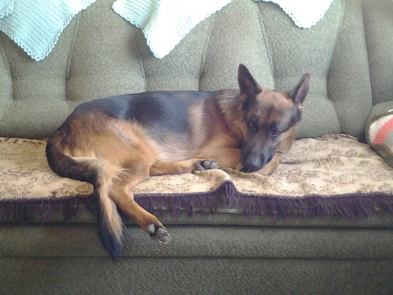 мой мальчик