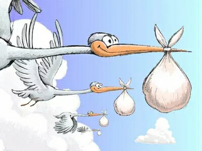 Они уже в пути!!!