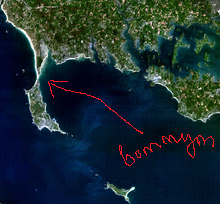 И безумие нашей мамы