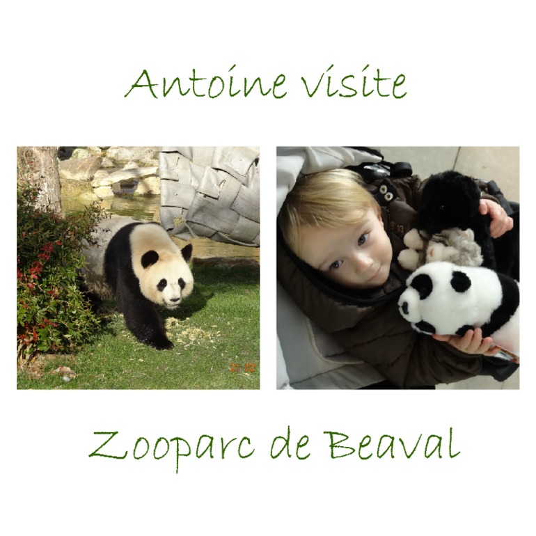 Наше путешествие (ОГРОМНЕЙШИЙ ПОСТИЩЕ)