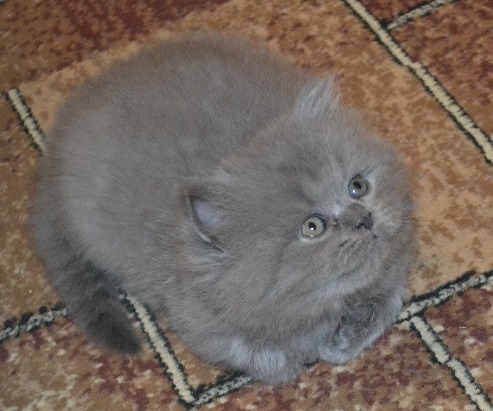 Прислали фото нашего