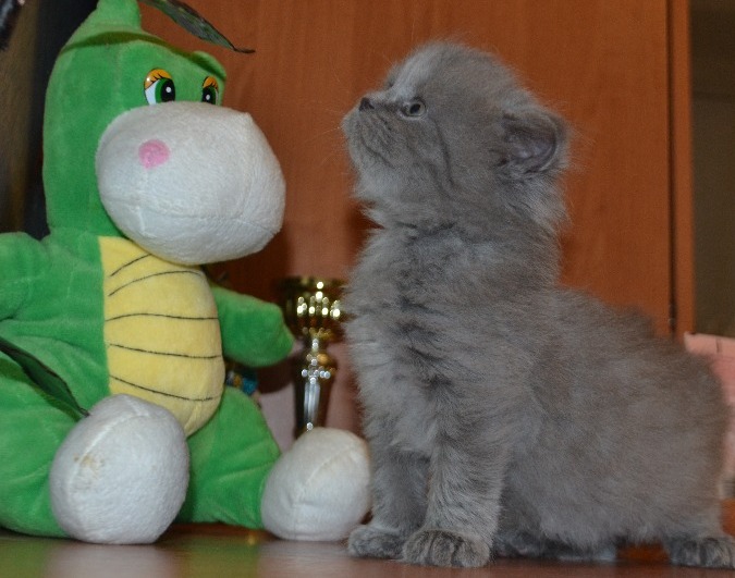 Прислали фото нашего