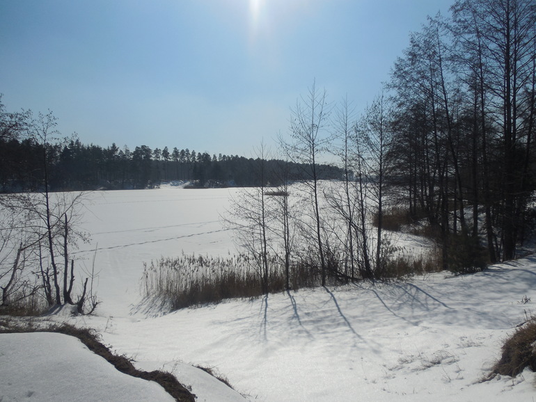 Восьмое марта. 08.03.2014