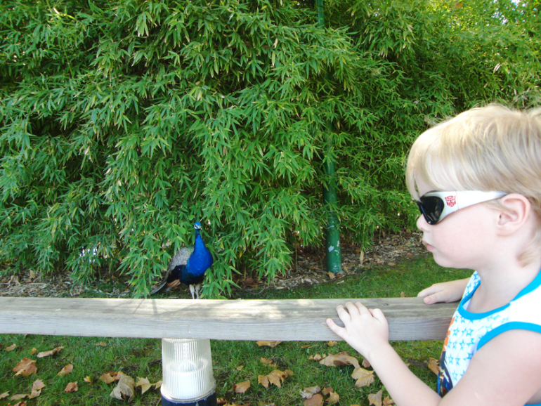 Испания, Каталония, Барселона, Матаро 2013г.