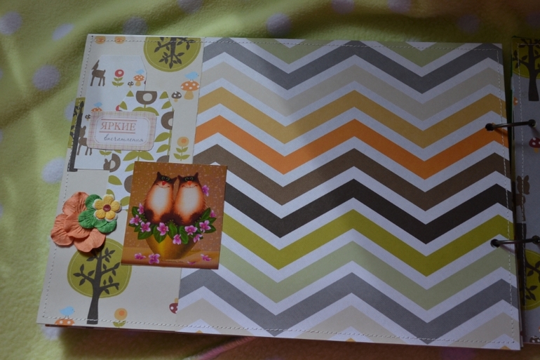 Кошкин дом- альбом для девочки