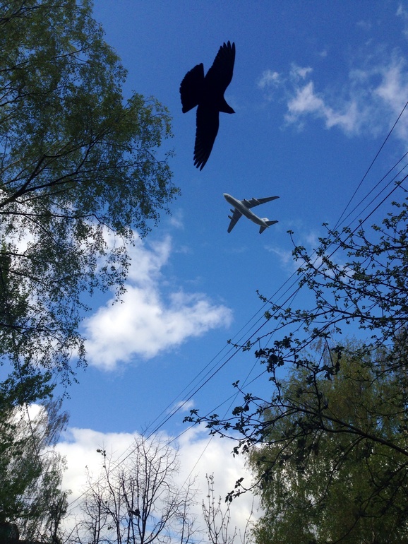 Ну вот и началась репетиция!