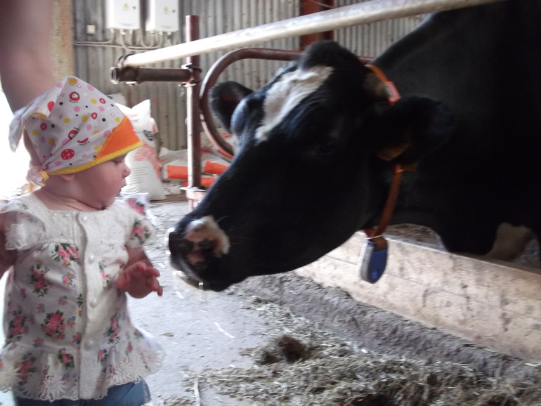 Далеко, далеко, на лугу пасутся ко....