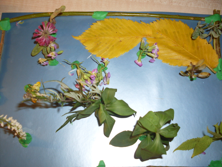 Творения детей