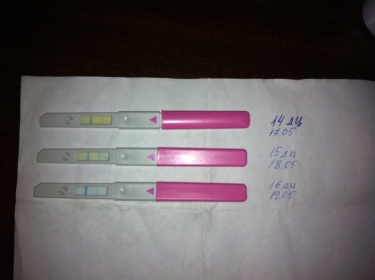 Есть динамика?