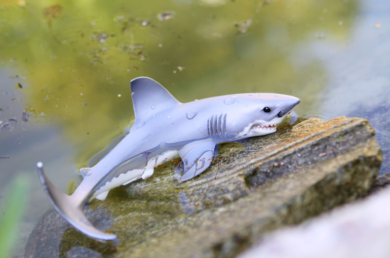 Морские животные от Schleich.