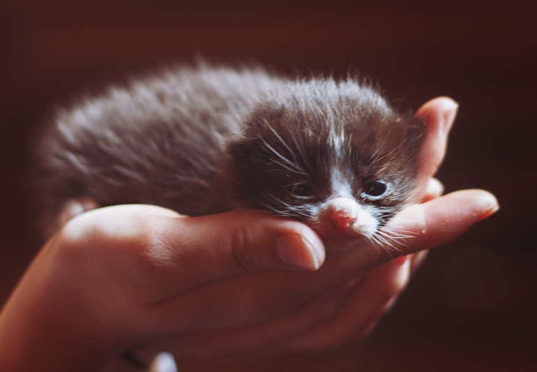 На чердаке.