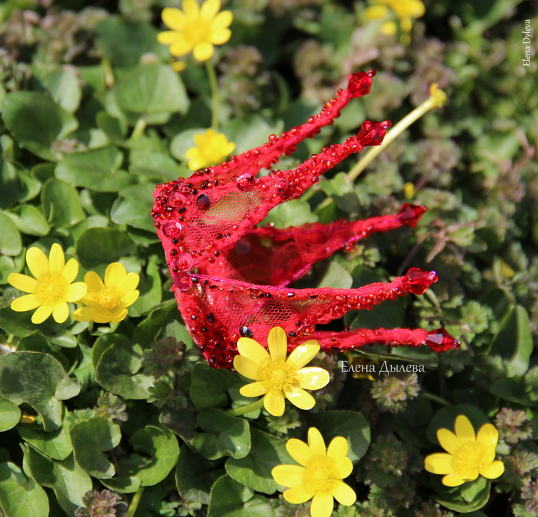 Корона красная - 2