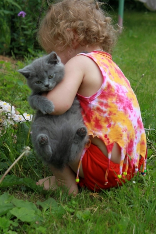 Котик, маленький мужичок:) 3500