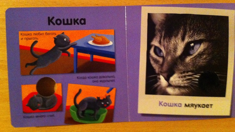 книжульки...пополнение