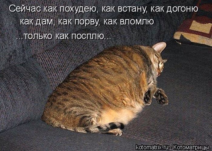 c3cfc6e94ab51c5068885aeffefdc446.jpg